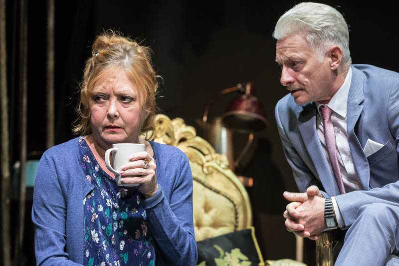 muvesznoesrajongoi ea 01 domolky daniel WEB 005