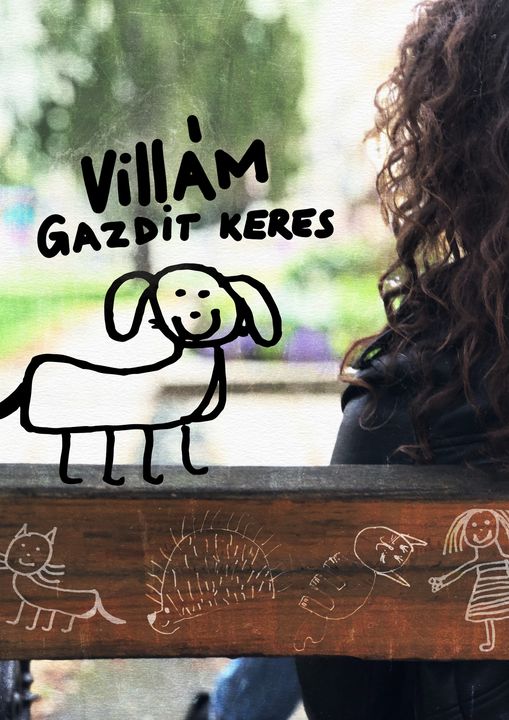 246773464 10222339062483900 6710167636778085092 n