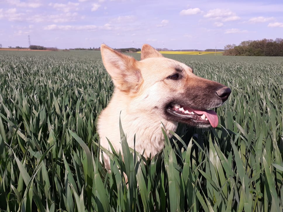 254349284 656863985719796 4465816128138063449 n