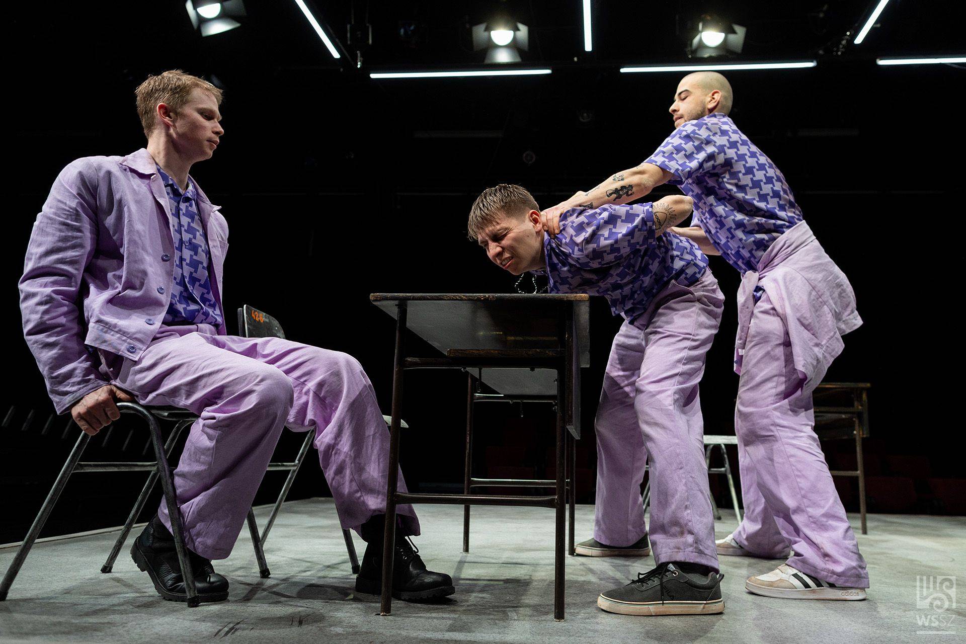 Kutyabaj Fotó Mészáros Zsolt