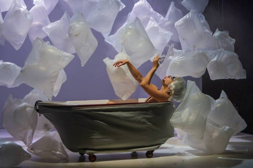 Apro fotoPetruCojocaru